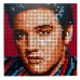 LEGO® Art Elvis Presley “The King” 31204