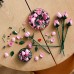 LEGO® Botanicals Bouquet of Pink Roses 10374