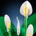 LEGO® Botanicals Peace Lily 11504
