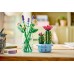LEGO® Botanicals Flowering Cactus 11509