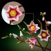 LEGO® Botanicals Magnolia Branches 11510