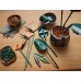 LEGO® Botanical Bird of Paradise 10289
