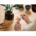 LEGO® Botanical Bird of Paradise 10289