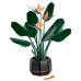 LEGO® Botanical Bird of Paradise 10289