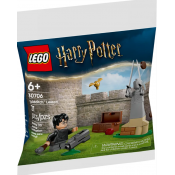 LEGO® Harry Potter™ Quidditch™ Lesson 30706