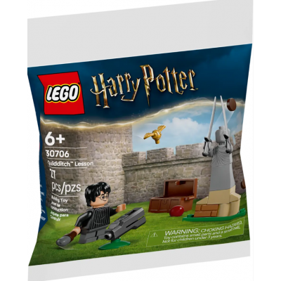 LEGO® Harry Potter™ Quidditch™ Lesson 30706