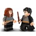LEGO® Harry Potter™: Harry Potter & Hermione Granger™ 76393