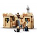 LEGO® Harry Potter™ Hogwarts™: First Flying Lesson 76395