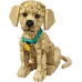 LEGO® Icons Golden Retriever Puppy 11384