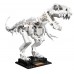 LEGO® Ideas Dinosaur Fossils 21320