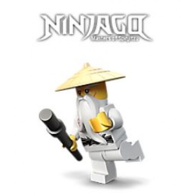 LEGO® NINJAGO® (49)