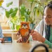 LEGO® Star Wars™ Wicket the Ewok™ 75430