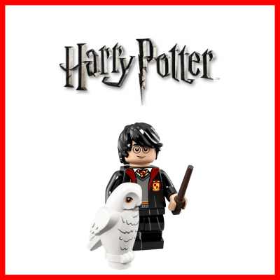 LEGO® HARRY POTTER™ (39)